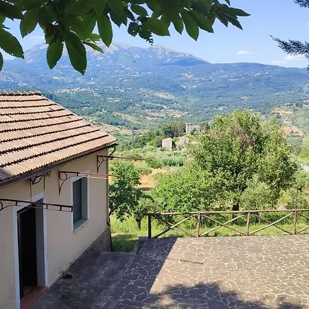 - Holiday home